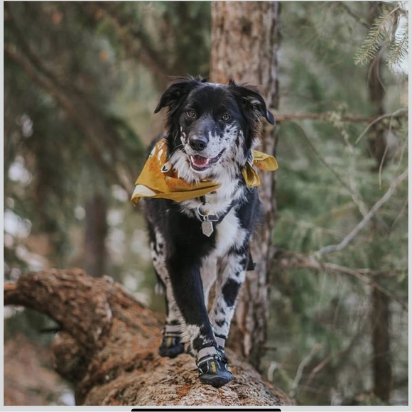 Qumy Black and Gray Dog Boots SZ 6 - Picture 5 of 8